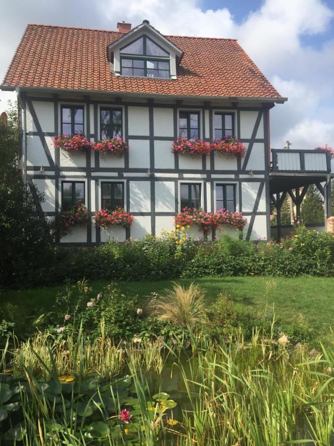 Schoene Gemuetliche Ferienwohnung Mit Kamin I Im Harz Darlingerode Eksteriør bilde